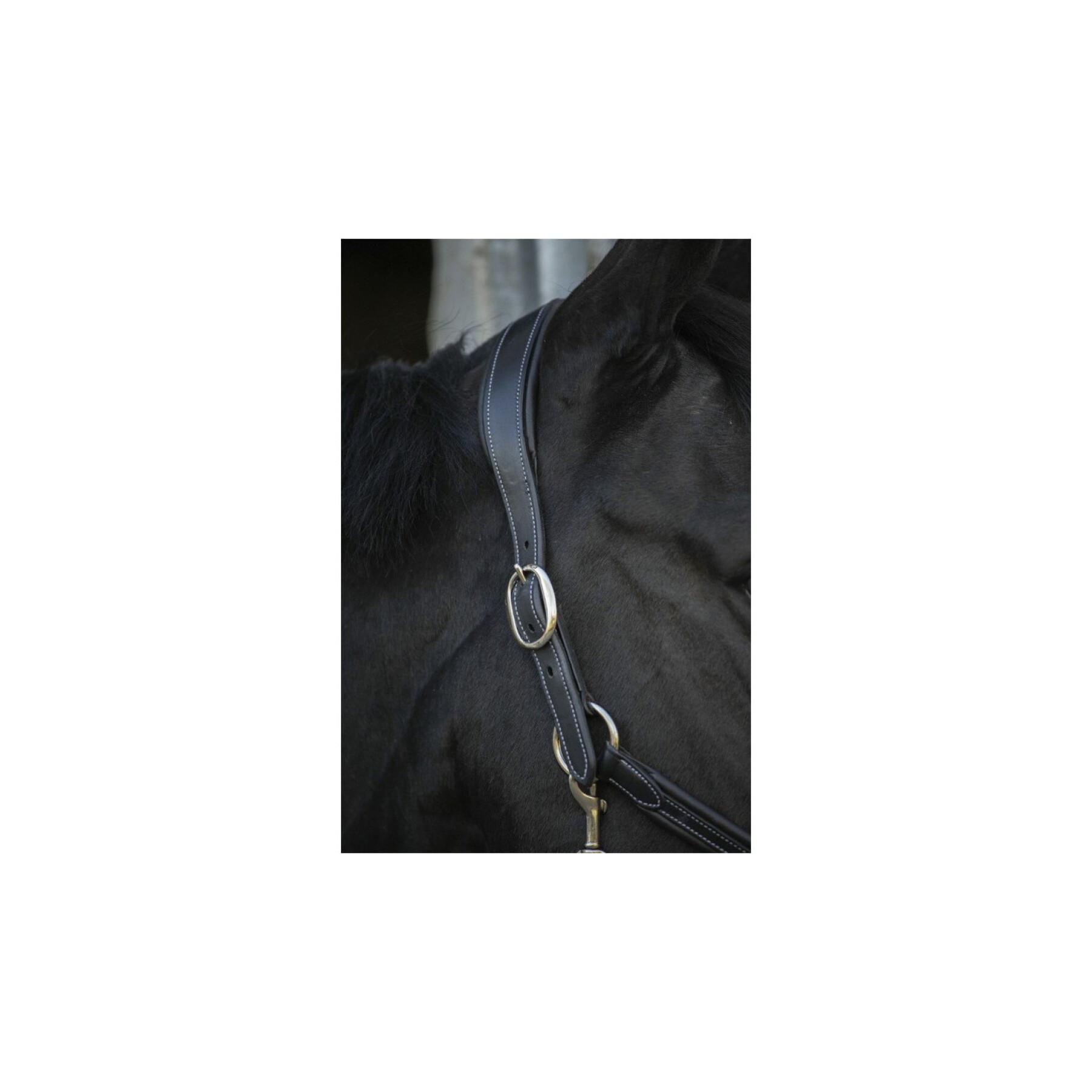 Cabezada de cuero para caballos Pénélope Point Sellier