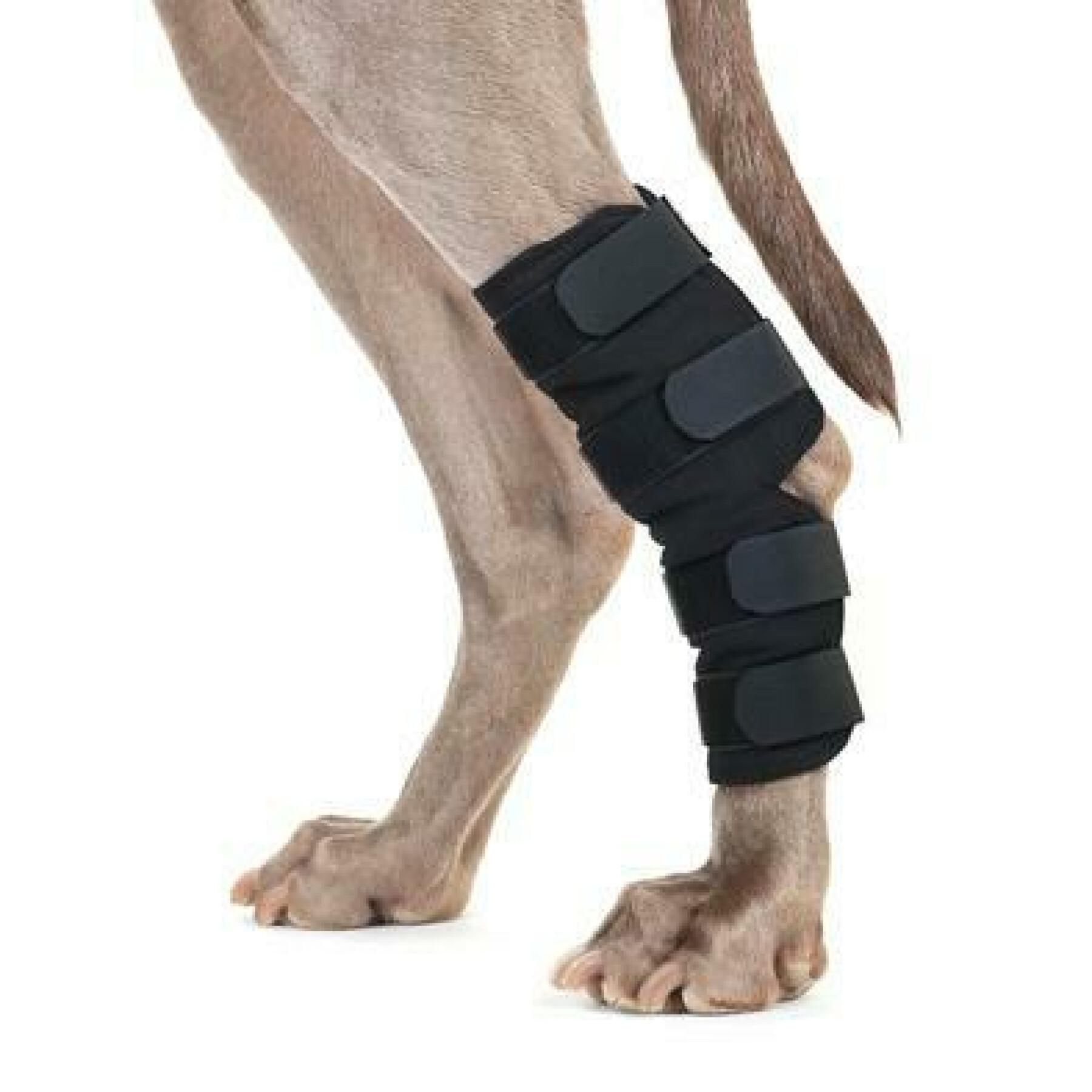 Protección de la pierna trasera por par Back on Track