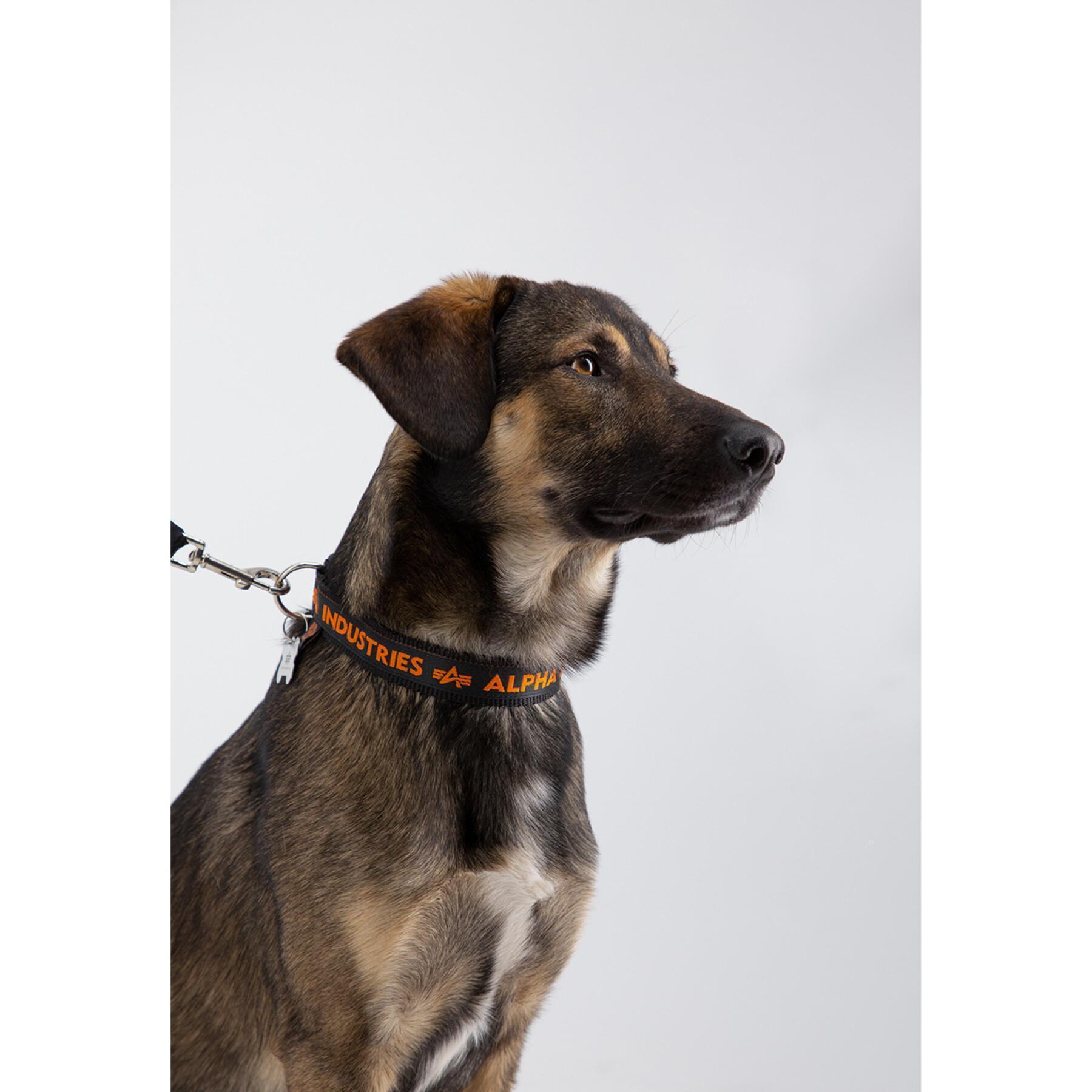 Collar para perros Alpha Industries Dog-Tag