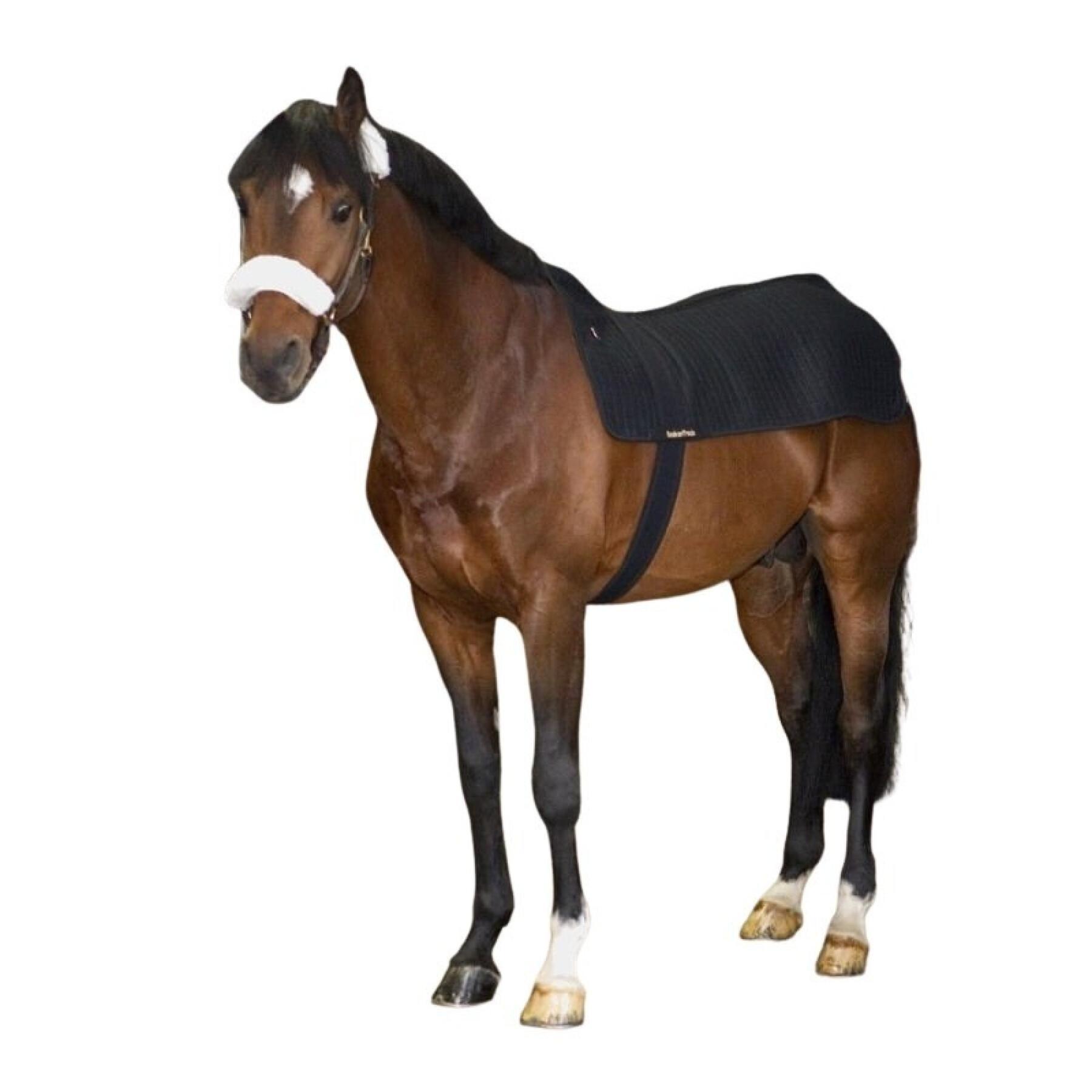 Calentador de espalda para caballos Back on Track Royal