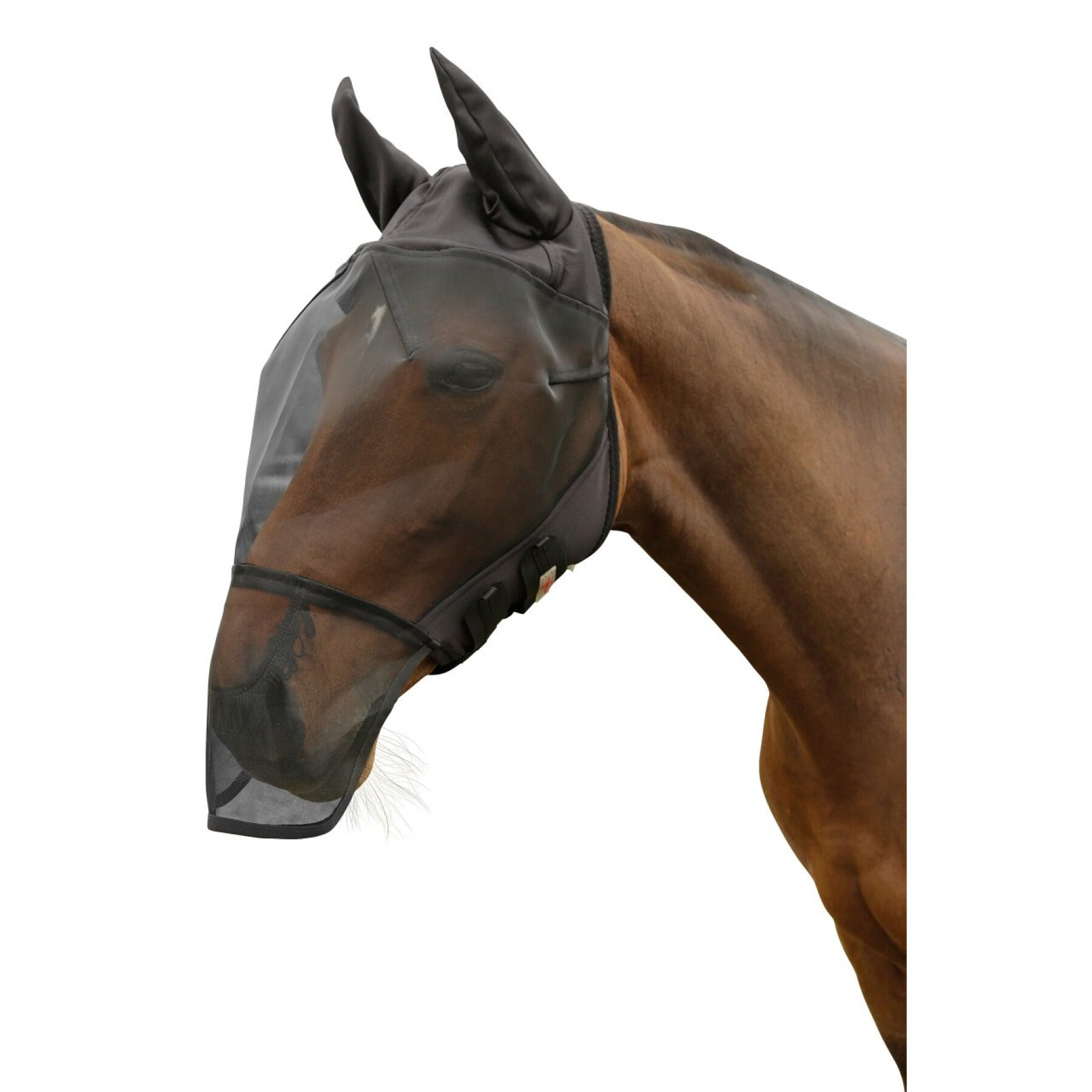Máscara antimoscas para caballos con protección para las orejas y flecos en las fosas nasales Covalliero