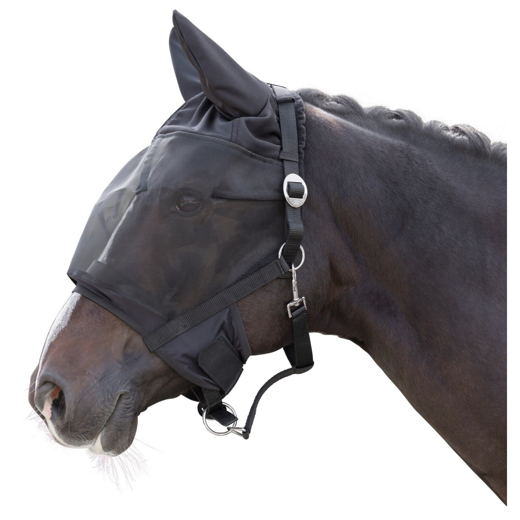 Cabestro con máscara antimoscas integrada para caballos Covalliero