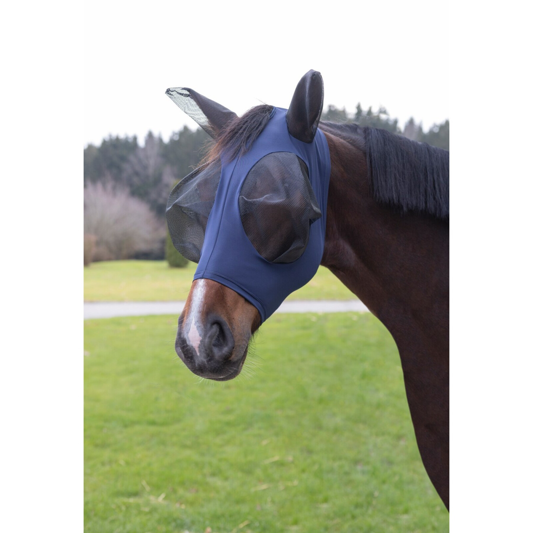 Máscara antimoscas para caballos Covalliero FinoStretch