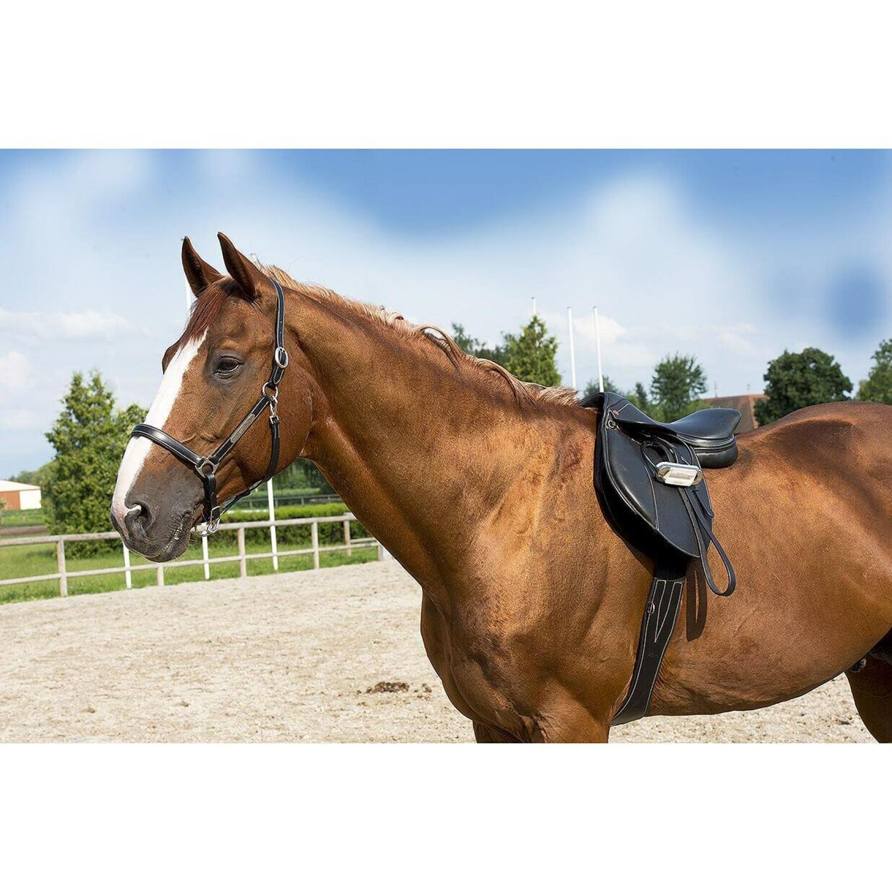 Cabezada de cuero para caballos de pura sangre ERIC THOMAS “Pro”