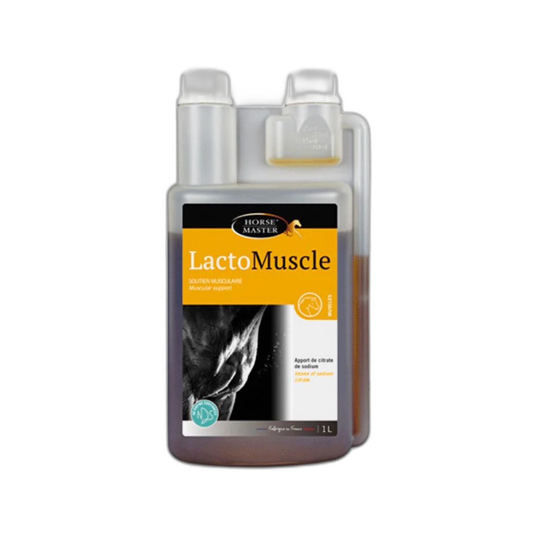 Suplemento nutricional para caballos de deporte - Recuperación Horse Master Lactomuscle