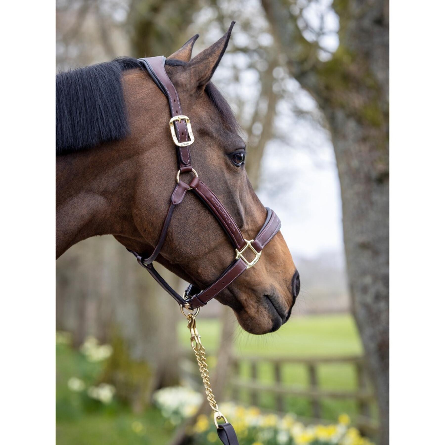 Cabezada Cuadra de cuero para caballos LeMieux Stitched Comfort