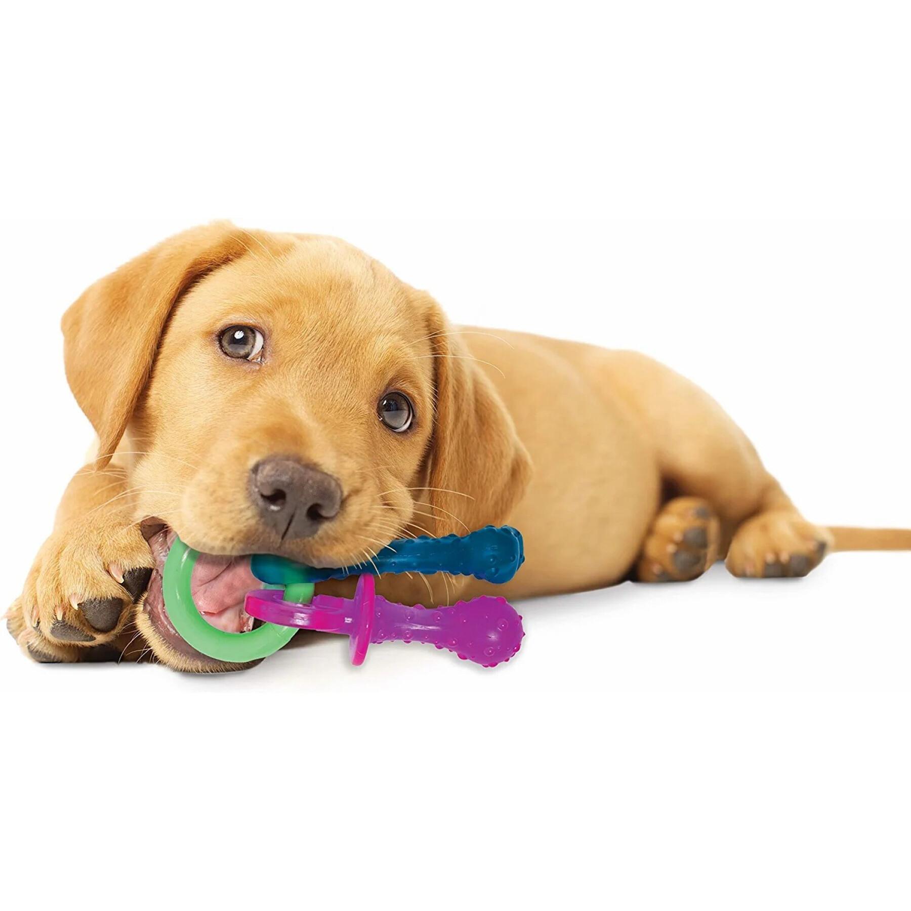 Juguete para perro Nylabone Puppy Teething Pacifier - Bacon XS
