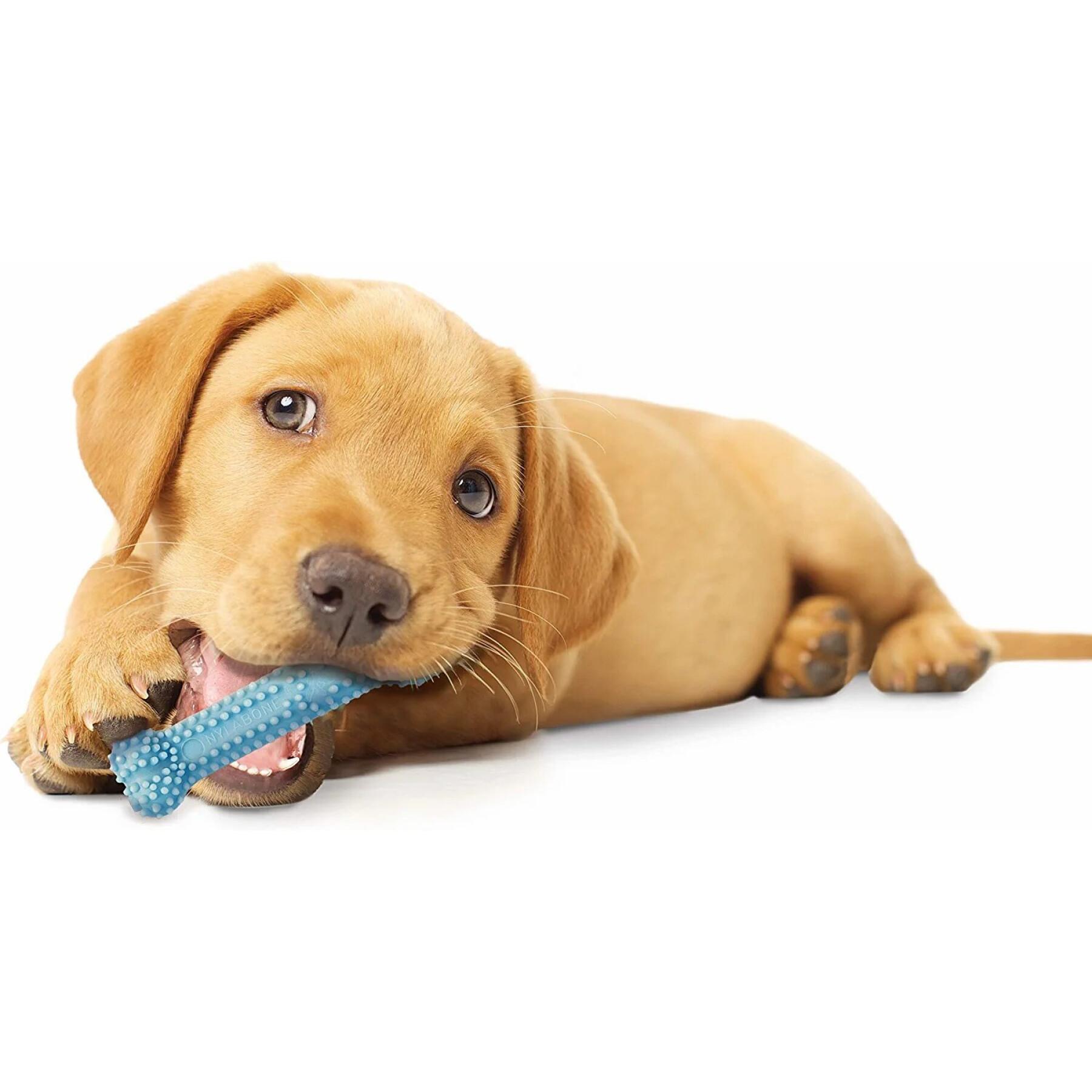 Juguete para perro Nylabone Puppy Teething Dental Chew - Pink Chicken XS