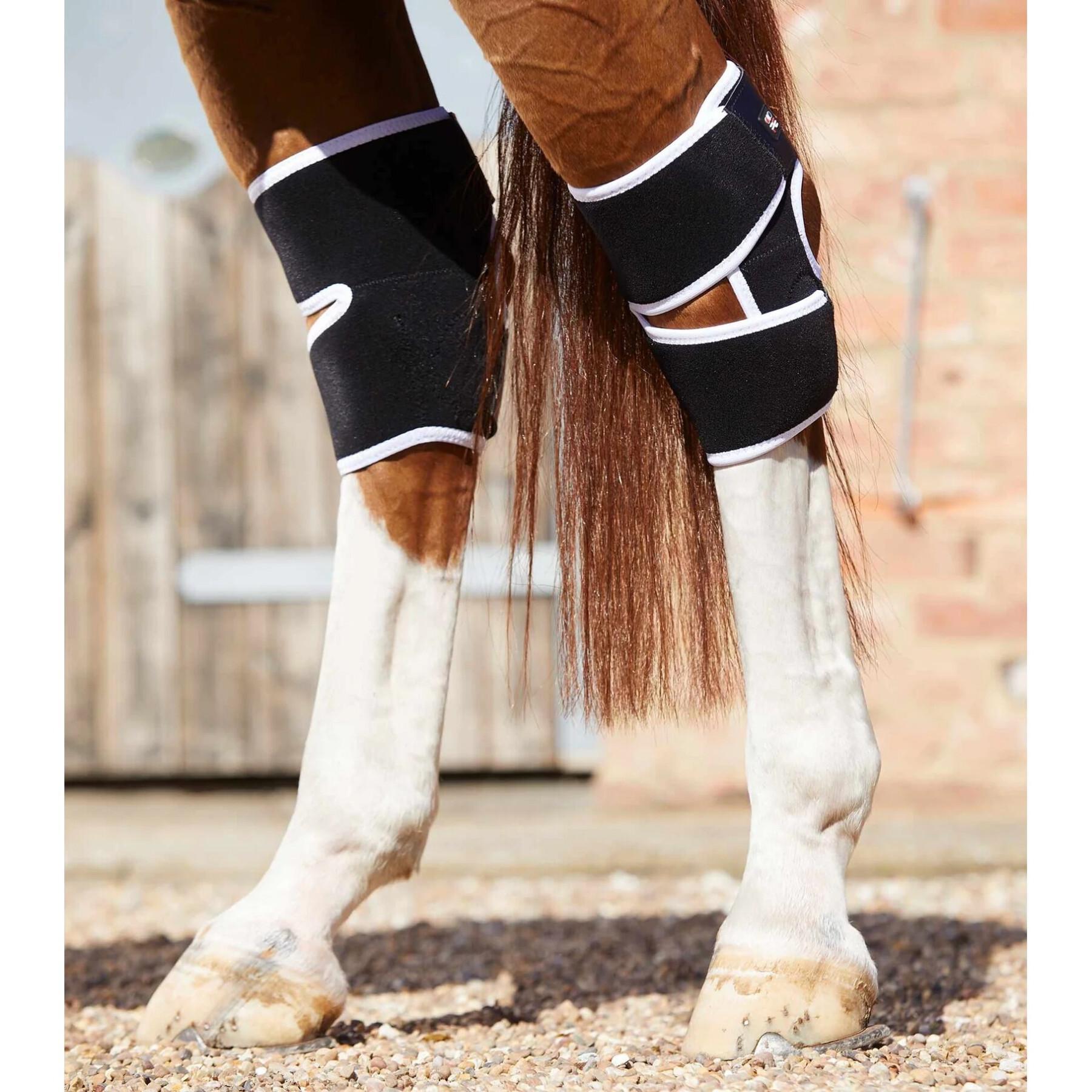 Pantalón de equitación con rodilleras para niños Premier Equine