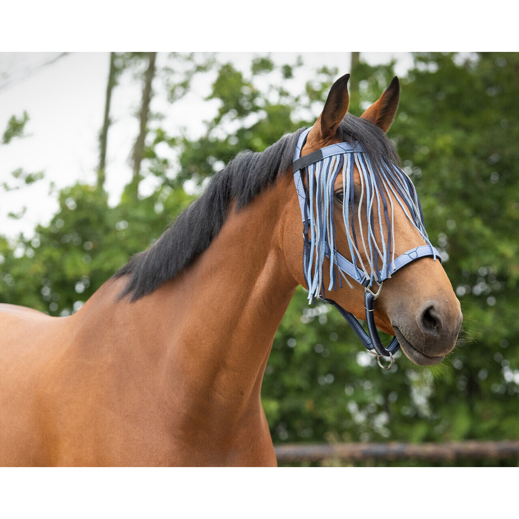 Frontalera antimoscas para caballos QHP Collection