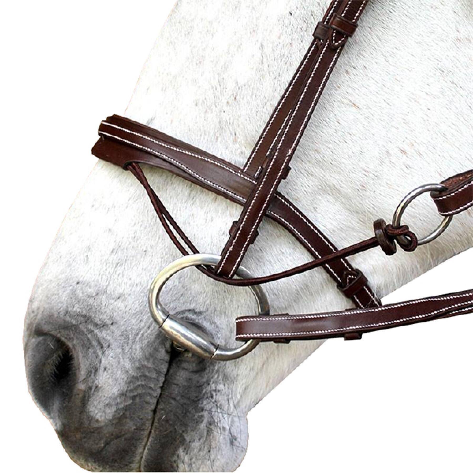 Cinta nasal para caballos Silver Crown Valla