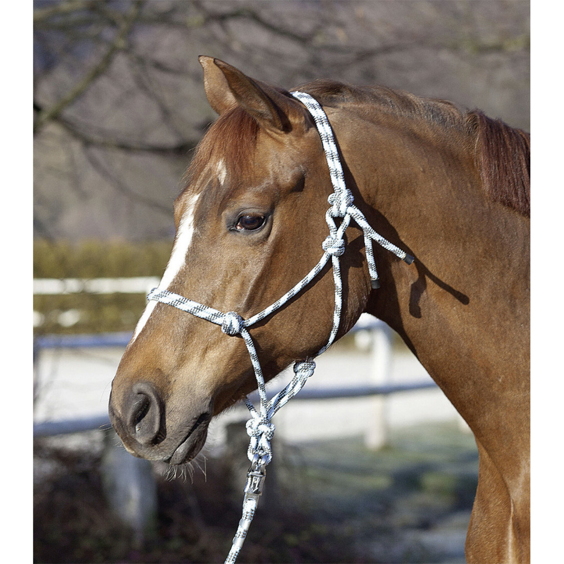 Cabestro de cuerda anudada para caballos USG