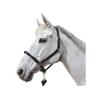 Cabezada de cuerda con hebillas blancas para caballos Canter