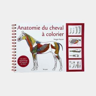 Libro para colorear de la anatomía del caballo Ekkia