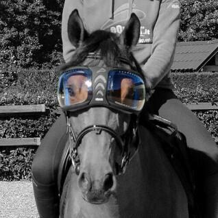 Lentes de repuesto para gafas de caballo Equick eVysor
