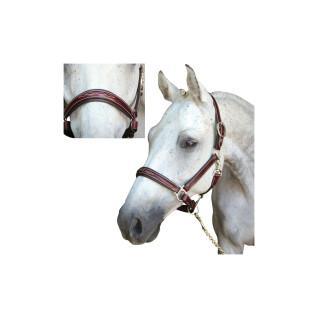 Cabezada para caballos Lexington Denver