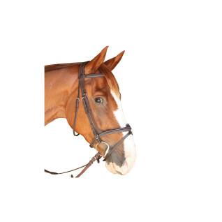 Bridas de equitación Privilège Equitation Dinard