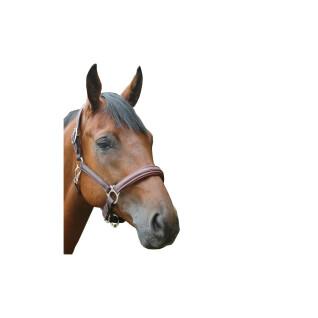 Cabezada de polietileno para caballos Privilège Equitation Royan
