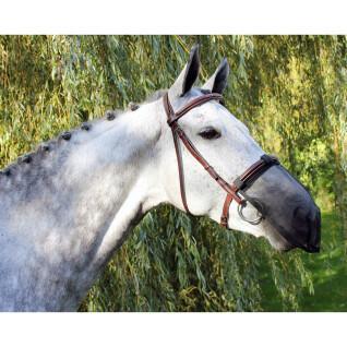 Protector nasal antimoscas para caballos QHP