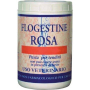 Cataplasma de caballo FM Italia Flogestine Rosa