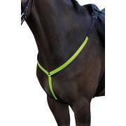 Collar de caza para caballos HorseGuard B'Seen reflex
