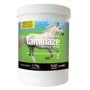 Suplemento nutricional digestivo para caballos NAF Laminaze