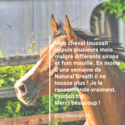 Complemento alimenticio para el confort respiratorio Natural Innov Natural'Breath