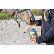 Galletas para la locomoción del caballo cúrcuma Natural Innov Natural'Crackers Moov - 300 g