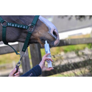 Suplemento alimenticio para caballos con parasitosis intestinal Natural Innov Protect
