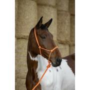 Cabezada y cuerda de tracción etológica para caballos Norton Fluo