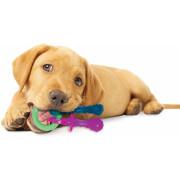 Juguete para perro Nylabone Puppy Teething Pacifier - Bacon XS