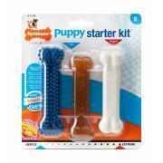 Set de 3 juguetes para perro Nylabone Puppy Starter Kit - 1 Puppybone Chicken / 1 Extreme Chew Chicken / 1 Dental Blue S