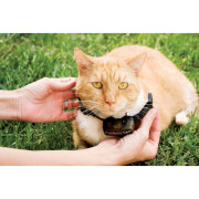 Kit de valla antihuida para gatos PetSafe Premium